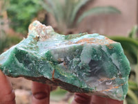 Natural Jade Cobbed Specimens x 12 From Swaziland