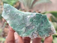 Natural Jade Cobbed Specimens x 12 From Swaziland