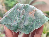 Natural Jade Cobbed Specimens x 12 From Swaziland