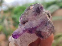 Natural Amethyst Crystal Specimens x 18 From Chiredzi, Zimbabwe