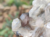 Natural Amethyst Crystal Specimens x 18 From Chiredzi, Zimbabwe