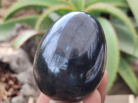 Polished Black Basalt Eggs x 6 From Madagascar