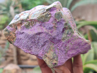 Natural Stichtite & Serpentine Specimens x 3 From Barberton, South Africa