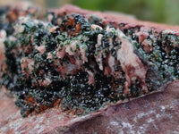 Natural Libethenite Crystals On Dolomite Matrix Specimens x 4 From Shituru, Congo