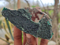 Natural Libethenite Crystals On Dolomite Matrix Specimens x 4 From Shituru, Congo