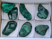 Polished Banded Malachite Free Forms x 7 From Congo