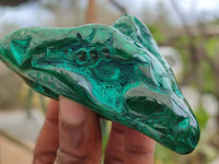 Polished Banded Malachite Free Forms x 7 From Congo