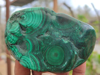 Polished Banded Malachite Free Forms x 7 From Congo