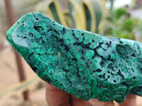 Polished Banded Malachite Free Forms x 7 From Congo