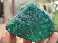 Polished Banded Malachite Free Forms x 7 From Congo