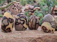 Polished Septerye Standing Free Forms x 4 From Madagascar