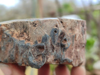 Polished Petrified Wood Branch Pieces x 4 From Gokwe, Zimbabwe