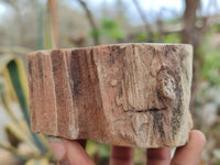 Polished Petrified Wood Branch Pieces x 4 From Gokwe, Zimbabwe