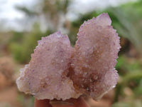 Natural Ametrine Spirit Quartz Crystals x 20 From South Africa