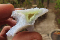 Natural Etched Blue Chalcedony Specimens x 35 From Malawi