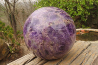 Polished XL Chevron Dream Amethyst Sphere x 1 From Zambia