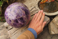 Polished XL Chevron Dream Amethyst Sphere x 1 From Zambia