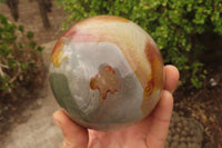 Polished Polychrome Jasper Spheres x 2 From Madagascar