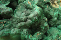 Natural XXL Botryoidal Malachite Specimen x 1 From Kolwezi, Congo