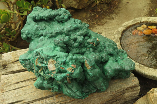 Natural XXL Botryoidal Malachite Specimen x 1 From Kolwezi, Congo