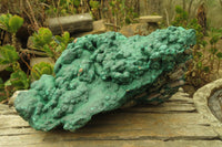 Natural XXL Botryoidal Malachite Specimen x 1 From Kolwezi, Congo