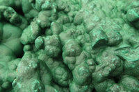 Natural XXL Botryoidal Malachite Specimen x 1 From Kolwezi, Congo