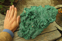 Natural XXL Botryoidal Malachite Specimen x 1 From Kolwezi, Congo