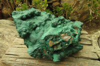 Natural XXL Botryoidal Malachite Specimen x 1 From Kolwezi, Congo