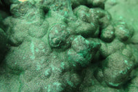 Natural XXL Botryoidal Malachite Specimen x 1 From Kolwezi, Congo