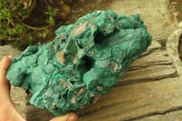 Natural XXL Botryoidal Malachite Specimen x 1 From Kolwezi, Congo