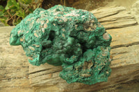 Natural XXL Botryoidal Malachite Specimen x 1 From Kolwezi, Congo