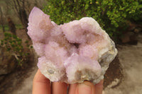 Natural Ametrine Spirit Quartz Clusters x 3 From Boekenhouthoek, South Africa