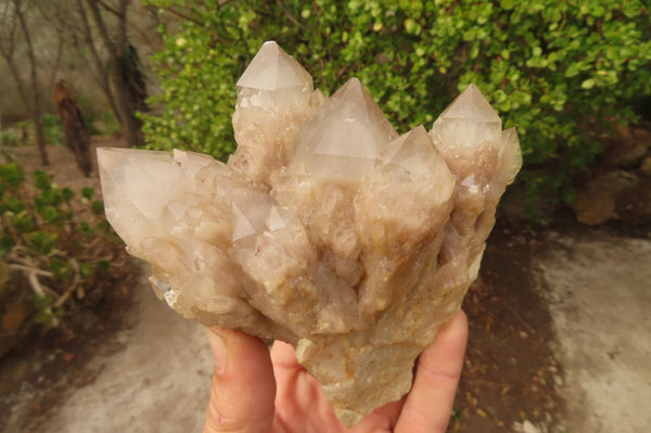 Natural Smokey Quartz Clusters x 2 From Luena, Congo