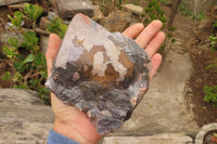 Natural Goethite Coated Blacknite Quartz Crystals x 4 From Madagascar