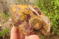 Natural Goethite Coated Blacknite Quartz Crystals x 4 From Madagascar