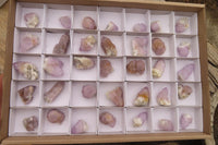 Natural Amethyst and Ametrine Spirit Quartz Crystals x 35 From Boekenhouthoek, South Africa