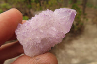 Natural Amethyst and Ametrine Spirit Quartz Crystals x 35 From Boekenhouthoek, South Africa