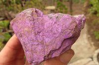 Natural Metallic Purpurite Cobbed Specimens x 12 From Erongo, Namibia