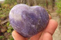 Polished Lepidolite Hearts with Rubellite Tourmaline Inclusions x 6 From Ambatondrazaka, Madagascar