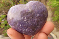 Polished Lepidolite Hearts with Rubellite Tourmaline Inclusions x 6 From Ambatondrazaka, Madagascar