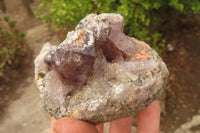 Natural Smokey Window Amethyst Matrix Crystals and a Sceptre x 4 From Chiredzi, Zimbabwe