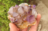 Natural Smokey Window Amethyst Matrix Crystals and a Sceptre x 4 From Chiredzi, Zimbabwe