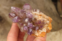 Natural Smokey Window Amethyst Matrix Crystals and a Sceptre x 4 From Chiredzi, Zimbabwe