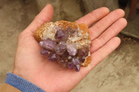 Natural Smokey Window Amethyst Matrix Crystals and a Sceptre x 4 From Chiredzi, Zimbabwe