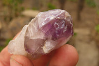 Natural Smokey Window Amethyst Matrix Crystals and a Sceptre x 4 From Chiredzi, Zimbabwe