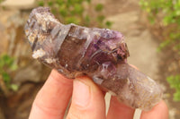 Natural Smokey Window Amethyst Matrix Crystals and a Sceptre x 4 From Chiredzi, Zimbabwe