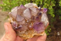 Natural Smokey Window Amethyst Matrix Crystals and a Sceptre x 4 From Chiredzi, Zimbabwe