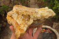 Natural Golden Limonite Quartz Cluster x 2 From Zambia