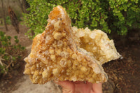 Natural Golden Limonite Quartz Cluster x 2 From Zambia