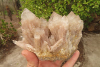 Natural Classic Cascading Smokey Phantom Quartz Clusters x 2 From Luena, Congo